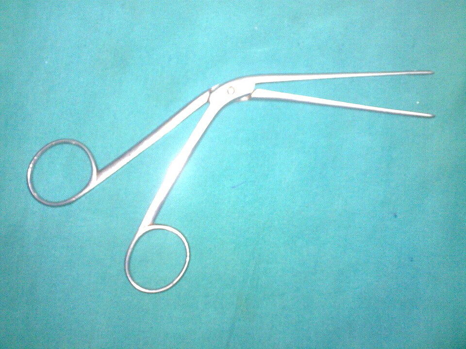 Dressing forceps